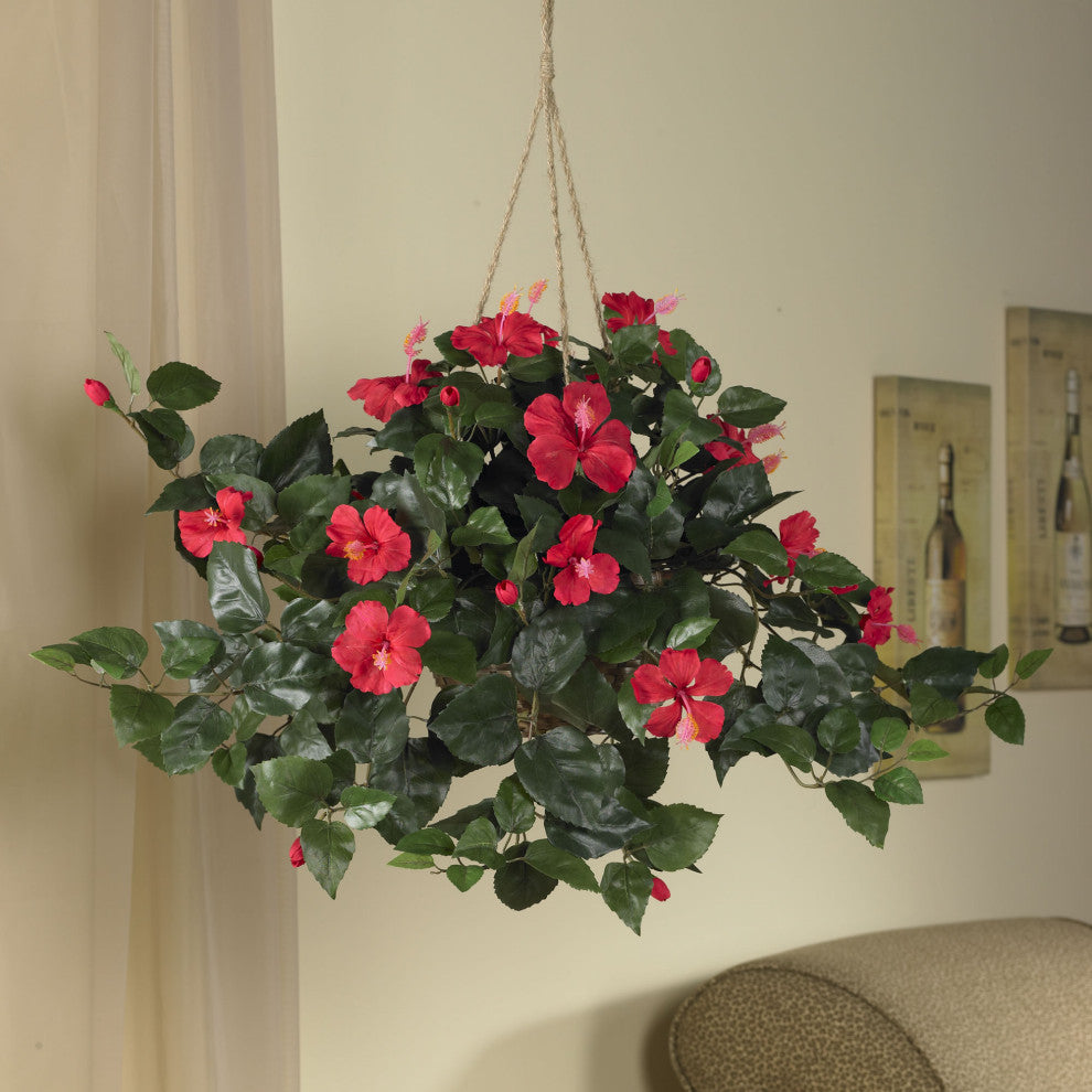 Lifestyle photo showing the hibiscus hanging basket in a real indoor setting; full product visible; not on white background.