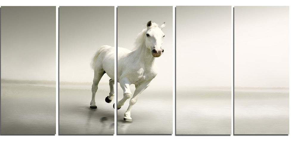 Beautiful White Horse Running, Animal Canvas Art Print, 60"x28", 5 Panels