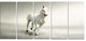 Beautiful White Horse Running, Animal Canvas Art Print, 60"x28", 5 Panels
