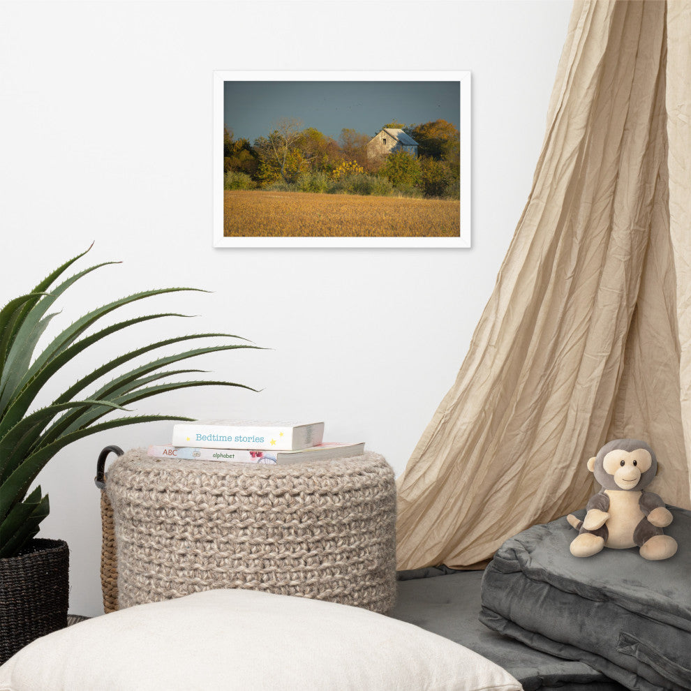 Abandoned Barn In The Trees Framed Photo Paper Wall Art Prints, White, 12" X 18"