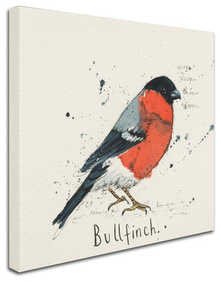 Michelle Campbell 'Bull Finch' Canvas Art, 14" x 14"