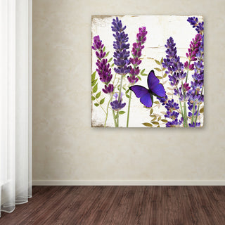 Color Bakery 'Lavender I' Canvas Art, 35x35