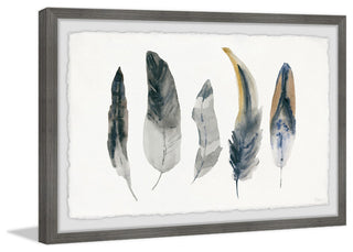 "Shaded Feathers" Framed Painting Print, 12"x8"