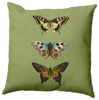 Butterflies Polyester Indoor Pillow, Apple Green, 20"x20"