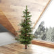 4' X 30" Ashland 331 Tips Pine Cones