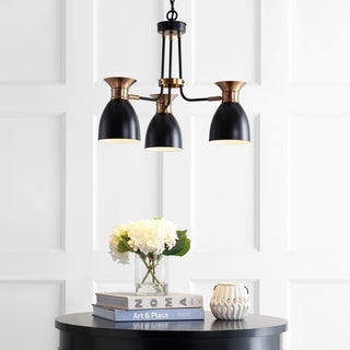 Edison Metal LED Pendant, Black, Brass Gold, Width: 20"