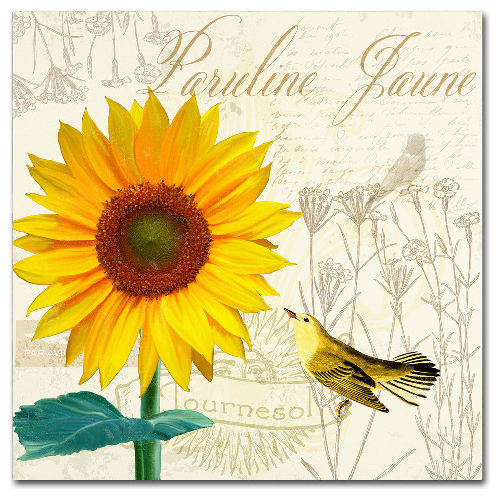 Tina Lavoie 'Natural History Sketchbook IV' Canvas Art, 18" x 18"