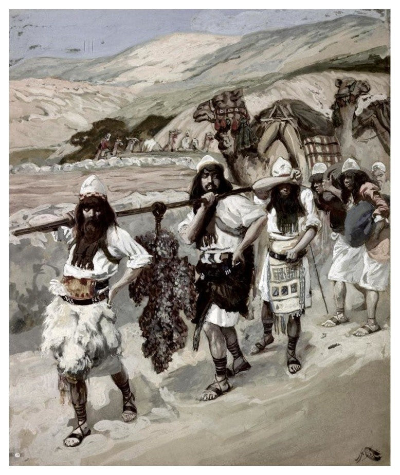 "Grapes of Canaan" Digital Paper Print by James Tissot, 15"x18"