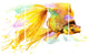 "Gold Fish Illustration" Canvas Print, 4 Panels