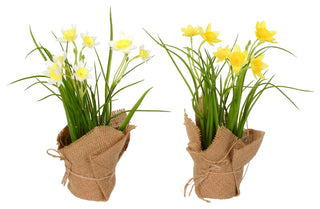 Shows the two burlap-wrapped yellow daffodil arrangements as a complete product on a white background.