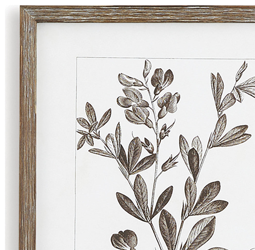 Set of 9 Rustic Sepia White Botanical Leaf Prints Framed Brown 13 in Large Group