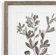 Set of 9 Rustic Sepia White Botanical Leaf Prints Framed Brown 13 in Large Group