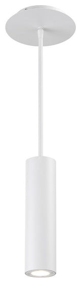 Caliber 10" LED Pendant 3000K, White