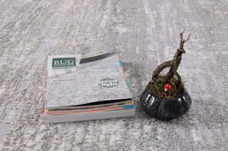 High-Low Hudson Gray/Ivory Rug, Gray, 8'8"x12'