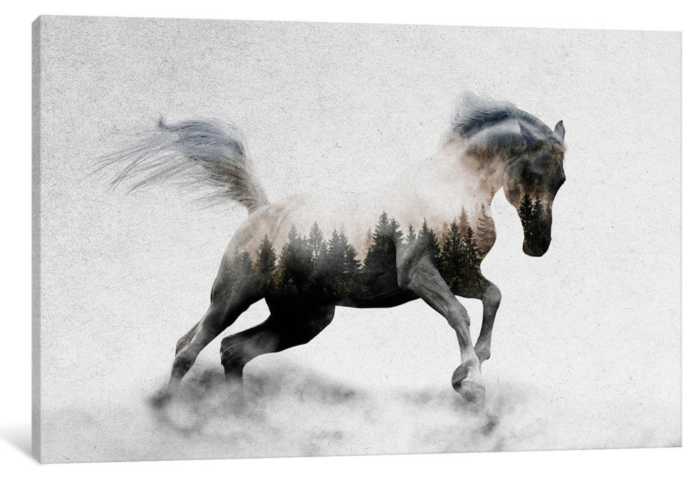 "Hest I" by Andreas Lie, Canvas Print, 26"x18"