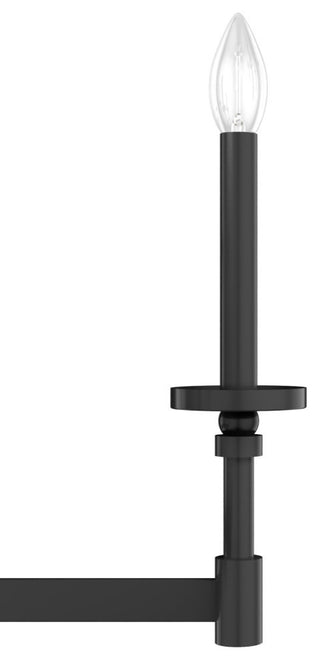 Hunter Briargrove Matte Black 8-Light Chandelier Ceiling Light Fixture