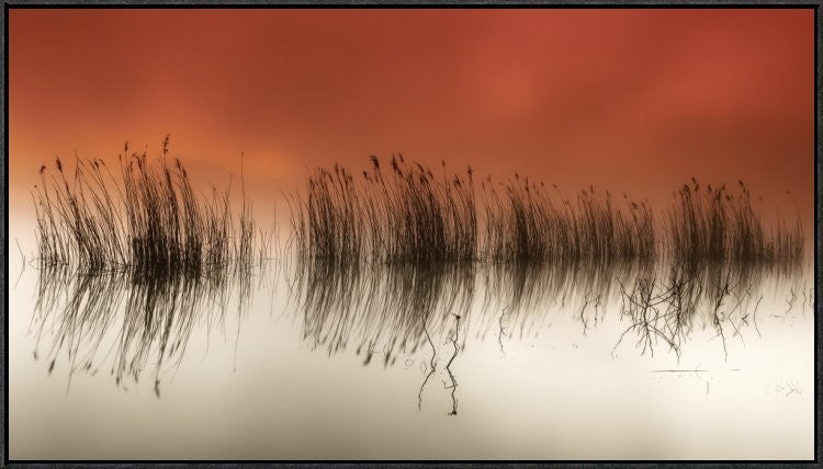 "Serenity" Framed Canvas Giclee by Rui David, 41x23"