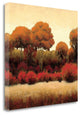 "Autumn Forest II" By James Wiens, Giclee Print on Gallery Wrap Canvas