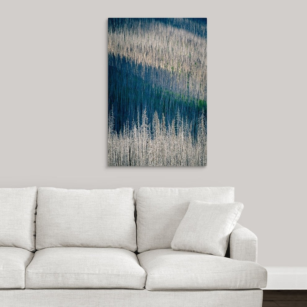 "Light and Shadow" Wrapped Canvas Art Print, 24"x36"x1.5"