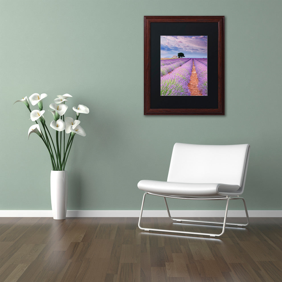 Blanchette Photography 'Rows Of Lavender', Wood Frame, Black Matte, 11"x14"