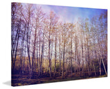 "Forest of Trees" Print on Canvas by Sylvia Cook