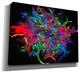 Epic Graffiti "Big Bang" Giclee Canvas Wall Art, 16"x12"