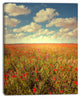Poppy Filed under Bright Sky, Floral Canvas Art Print, 30"x40"