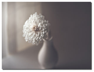 Indoor/Outdoor Wall Decor 'Window Light' in ArtPlexi, 30"x4