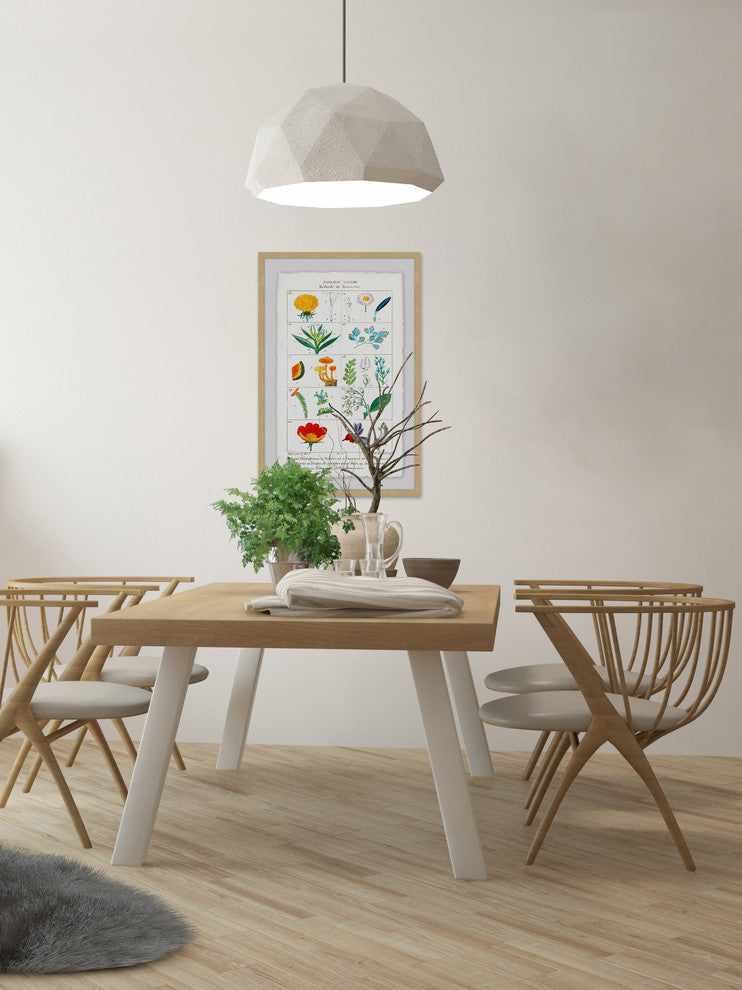 "Botany French 2" Framed Painting Print, 16"x24"