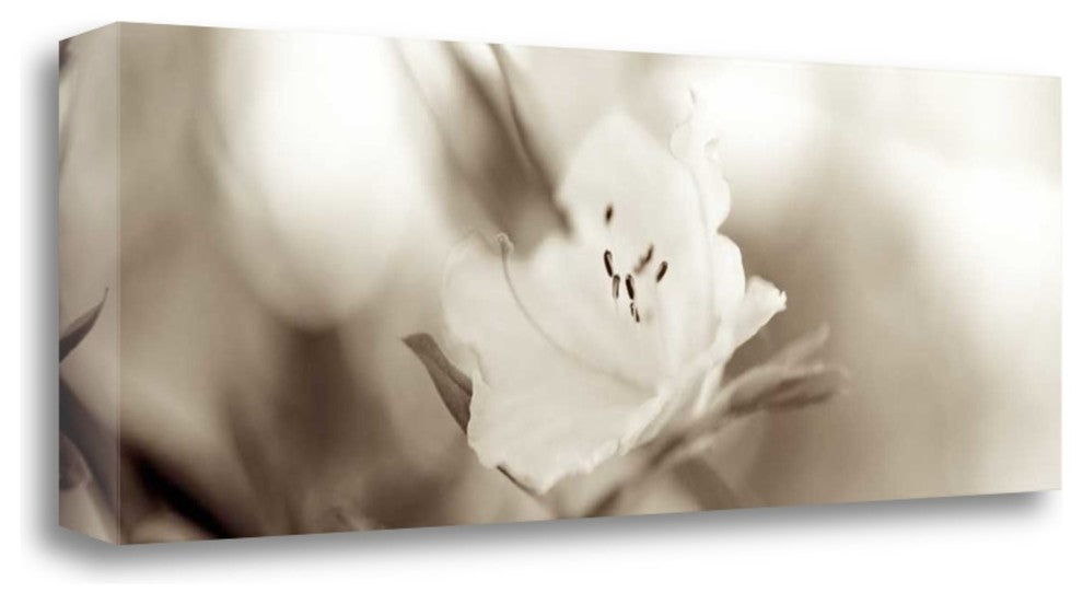 "Florison - 104" By Alan Blaustein, Giclee Print on Gallery Wrap Canvas