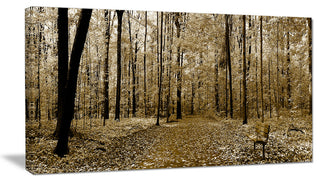 Wooded Forest Panoramic View, Modern Forest Canvas Art, 32"x16"