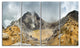 "Volcano Panorama With Dramatic Sky" Landscape Wall Wall Art, 4 Panels, 48"x28"