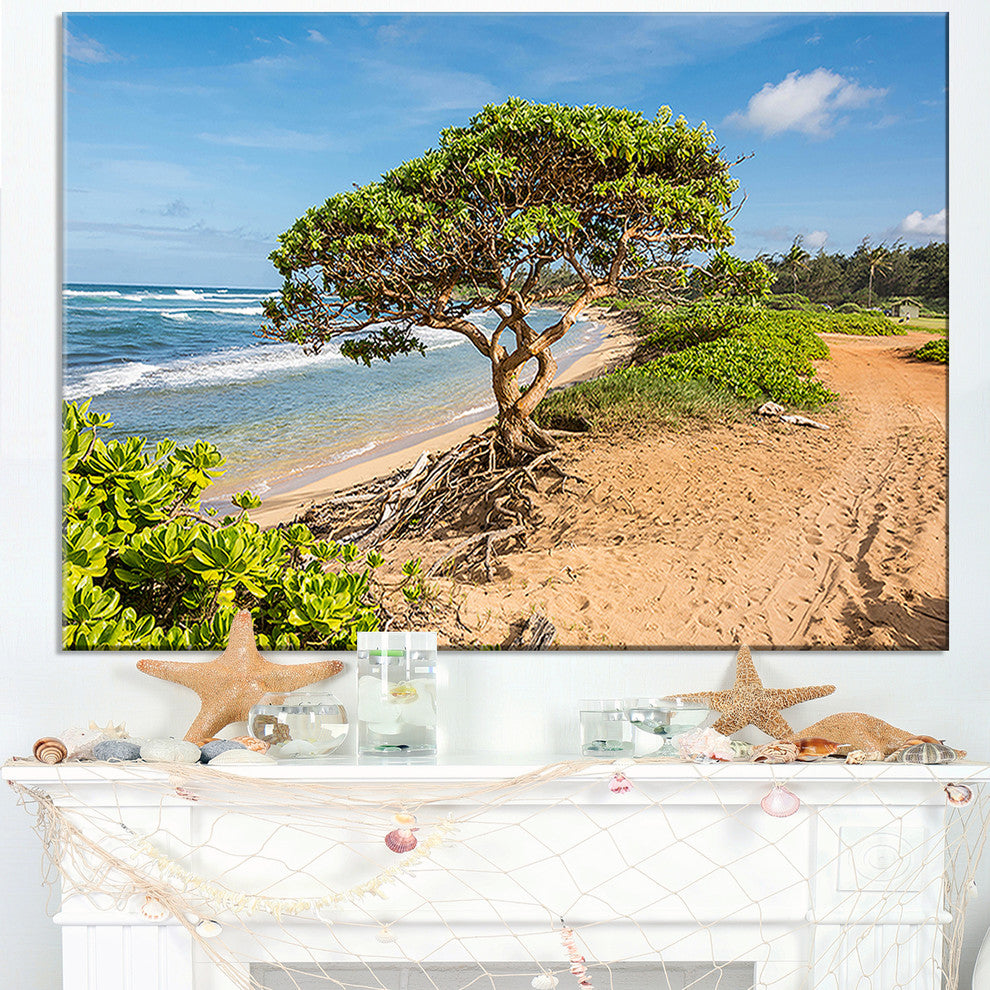 "Green Tree on Beach in Kauai Hawaii" Contemporary Seascape Art Canvas, 32"x16"