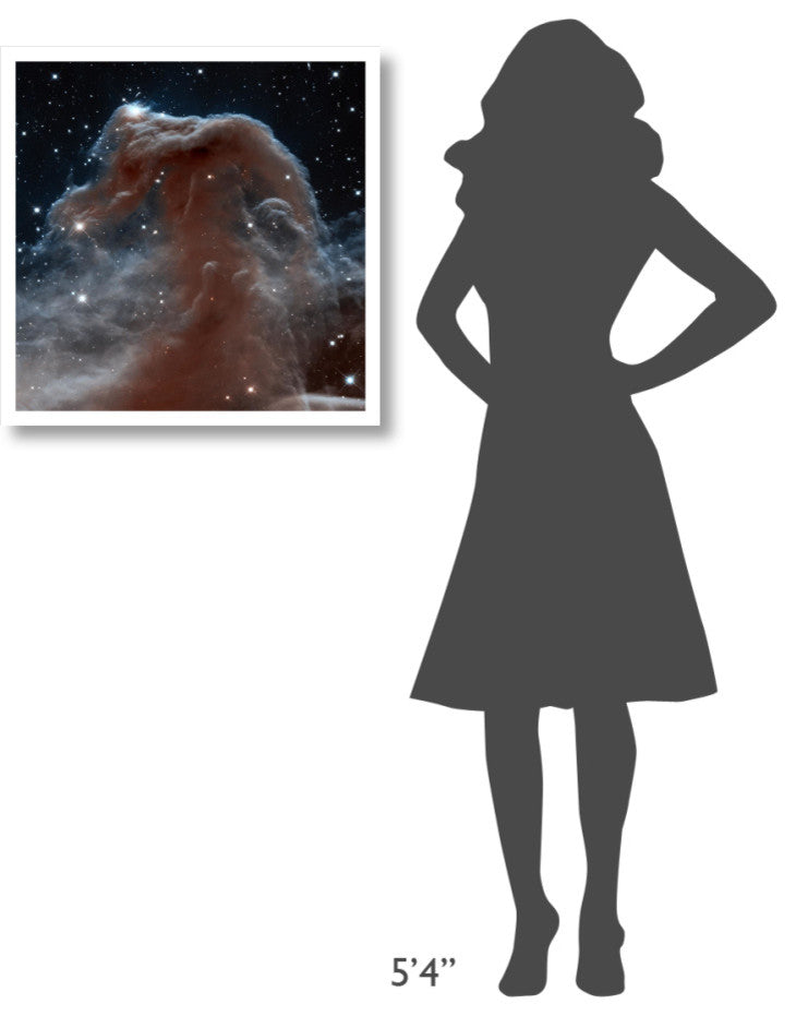 "Horsehead Nebula, Infrared View" Digital Paper Print by NASA, 26"x26"