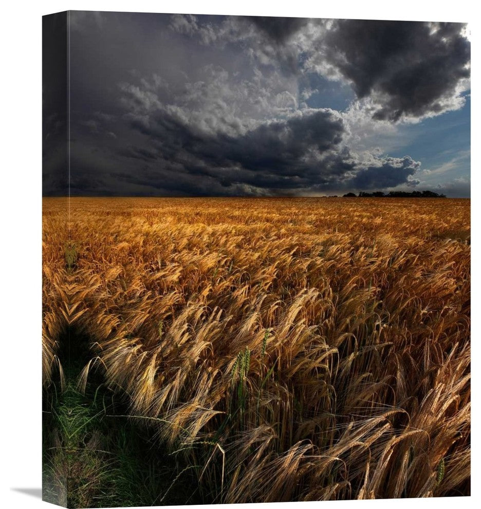 "Strohgaeu" Stretched Canvas Giclee by Franz Schumacher, 13x16"