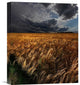 "Strohgaeu" Stretched Canvas Giclee by Franz Schumacher, 13x16"