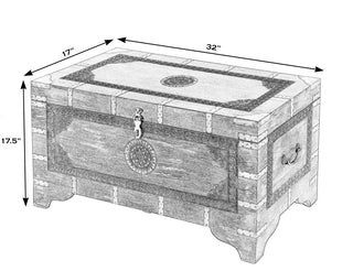 Nador Hand-Painted Brass Inlay Storage Trunk Coffee Table, Sierra Brown