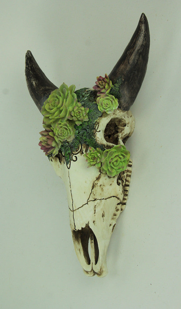 Aged Bull Skull with Succulent Plants Hanging Statue