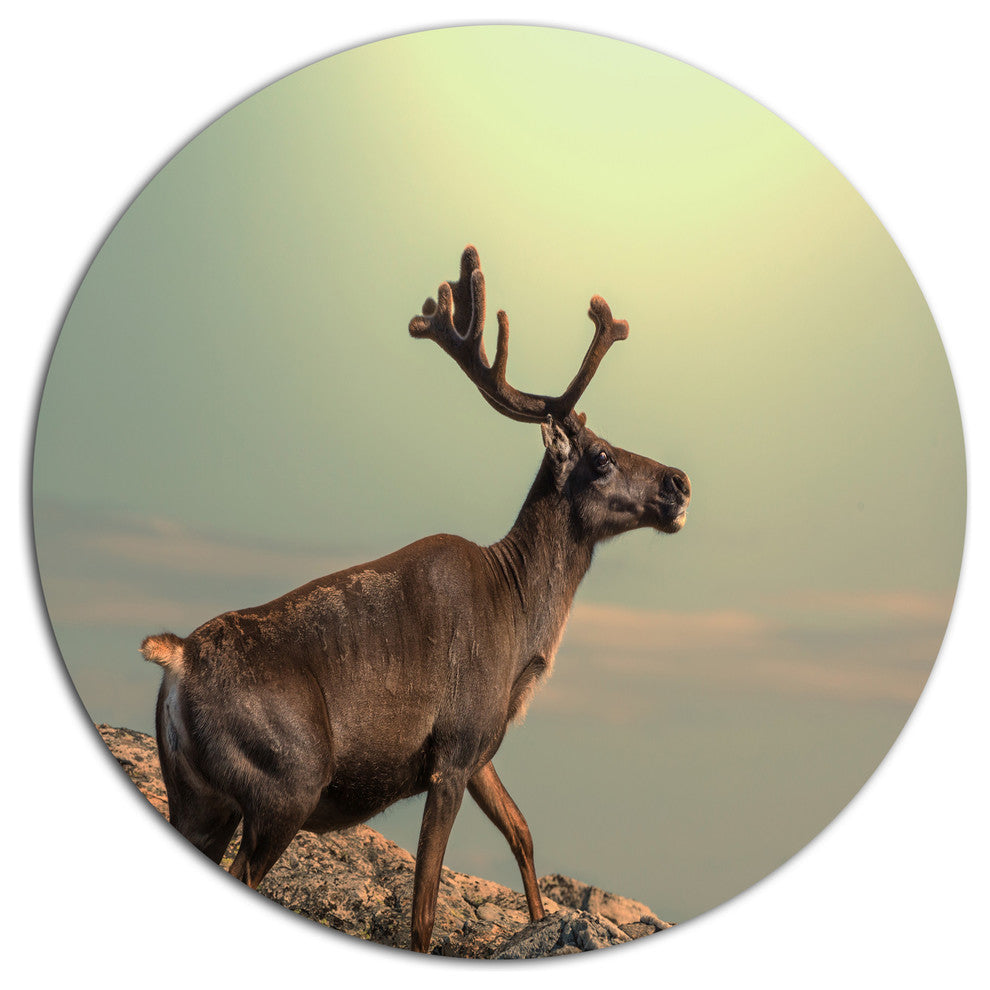 Reindeer On Top Of The Mountain, Animal Round Wall Art, 23"