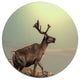 Reindeer On Top Of The Mountain, Animal Round Wall Art, 23"