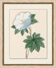 Prisma Floral 1, Giclee Reproduction Artwork