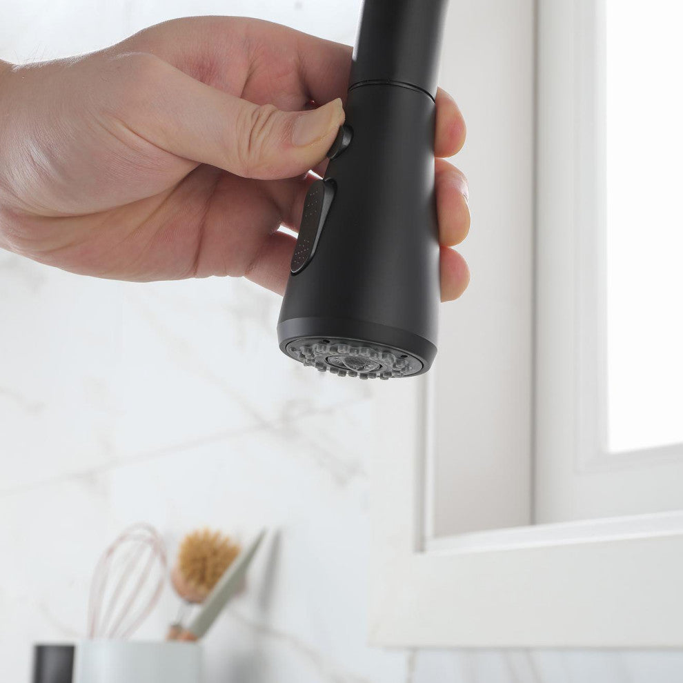 Wellfor Single-Handle Pull Down Sprayer Kitchen Sink Faucet, Matte Black