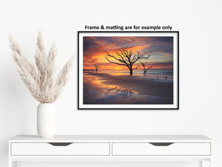 Sunrise and Trees At Edisto Island Coastal Landscape Photo Loose Wall Art Print, 11" X 14"