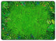 Flagship Carpets VA1013-58FS 10'6"X13'2" Rainforest Frogs Educational Rug
