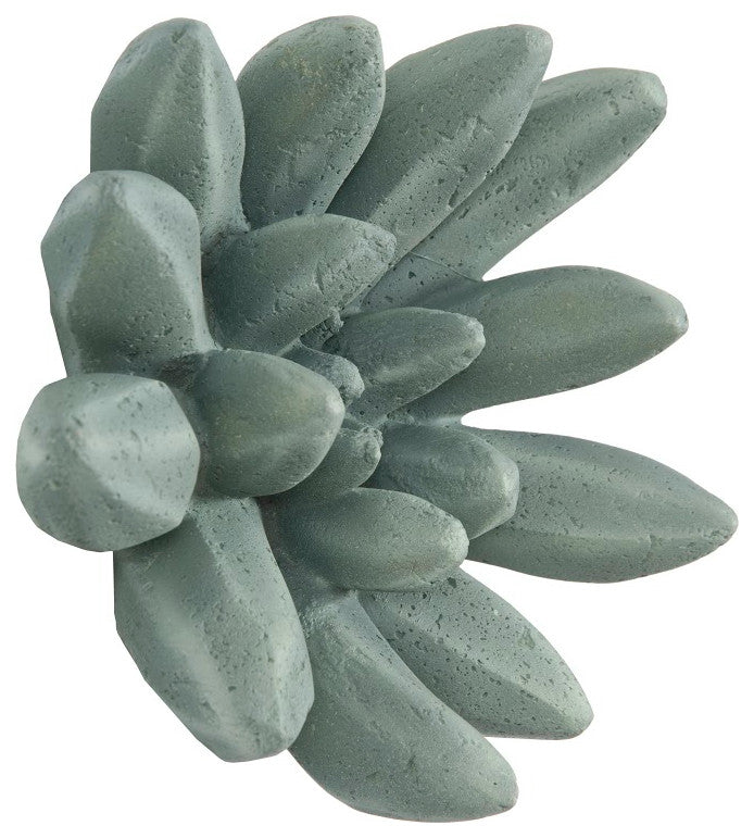 Compactum Succulent Wall Art, Forest