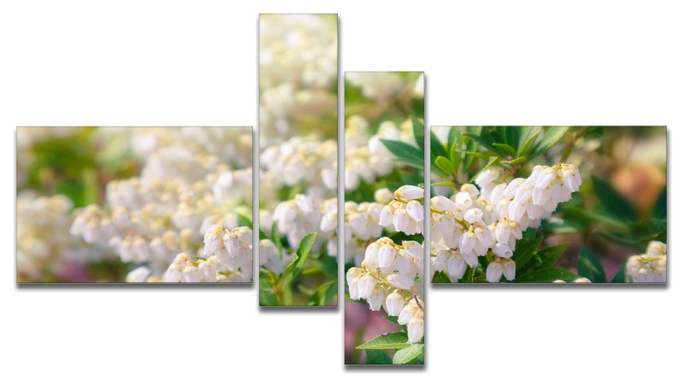 Beautiful Blooming White Flowers, Floral Canvas Art Print, 60"x32", 4 panels