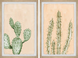 Be Like a Cactus Diptych, 2-Piece Set, 20x30 Panels