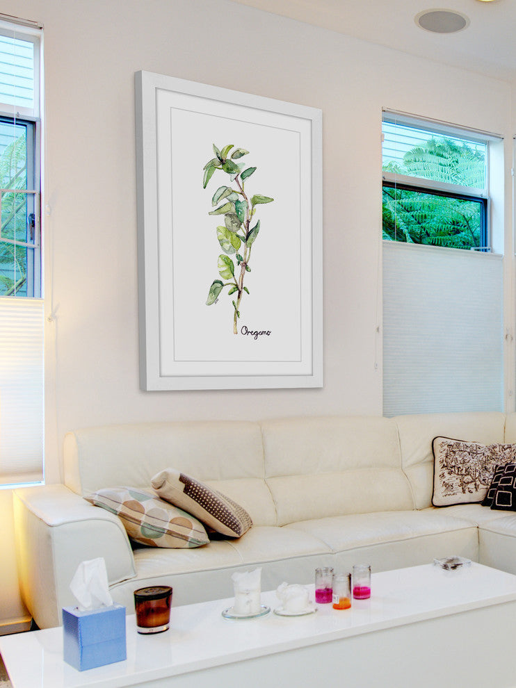 "Herb Oregano" Framed Print by Rachel Byler