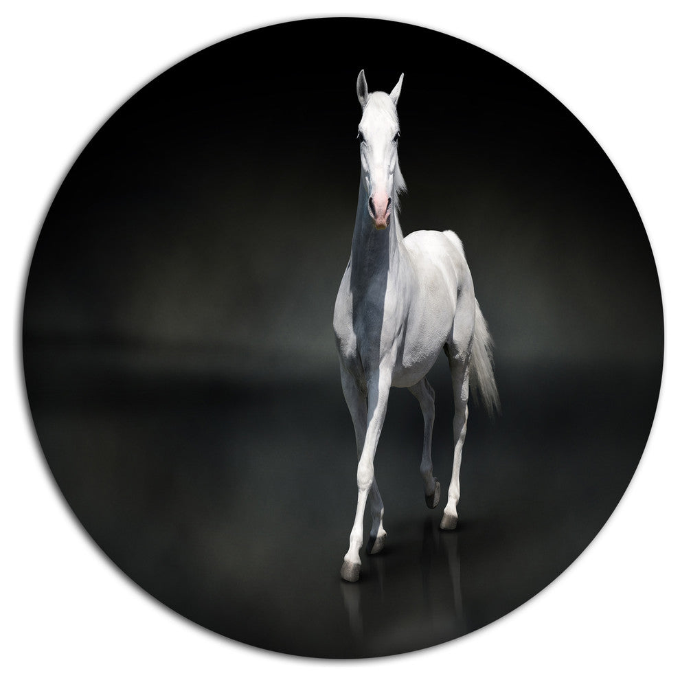 Isolated Black Horse On Black, Animal Disc Metal Wall Art, 11"