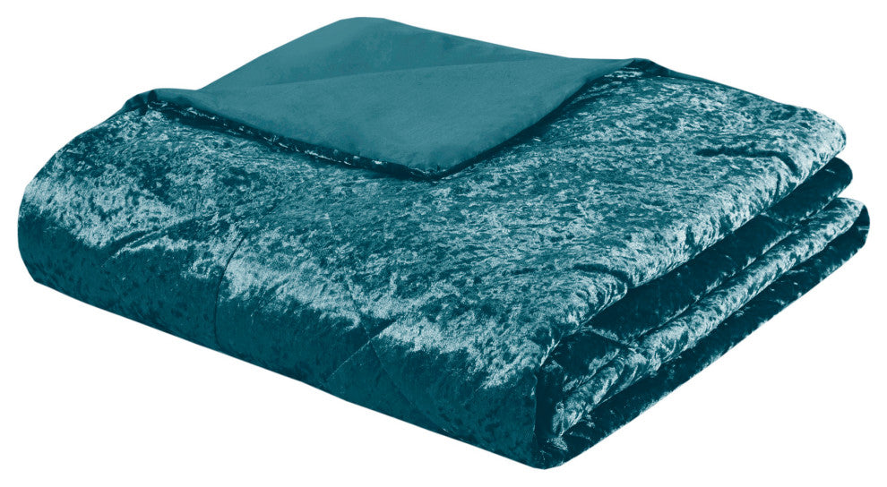 Intelligent Design Felicia Crushed Velvet 4-Piece Comforter Set